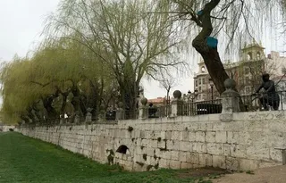 Acciones de educación, divulgación y voluntariado ambiental en el rio Arlanzón
