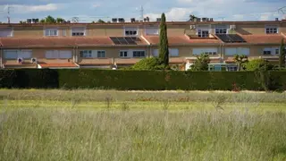 Zonas de campo situadas entre Salamanca y Villares de la Reina denunciadas por asociaciones ecologistas