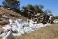 Vuelca un camión a la altura de Villaverde de Guareña 