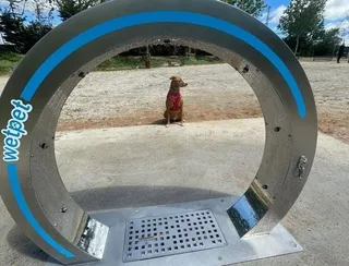 Perro en las nuevas duchas de Salamanca