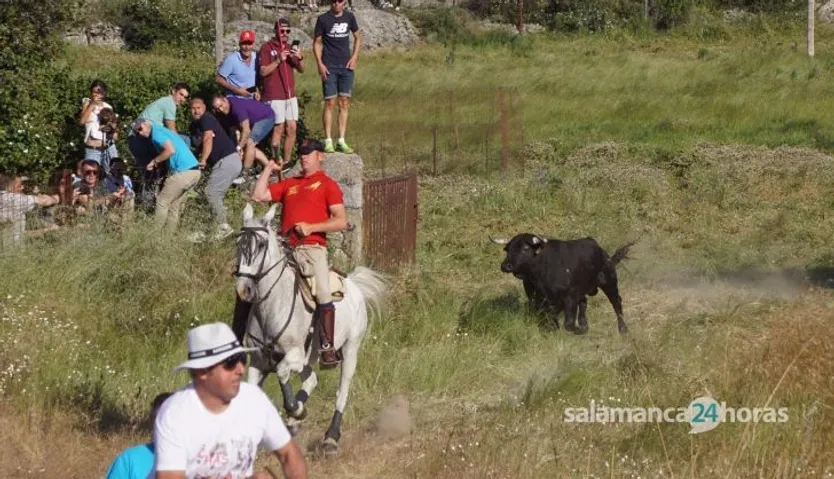 Ledesma calienta motores para los ‘Espantos’ con el reparto de pañuelos y la salida de los toros del Prao de la Villa (7)