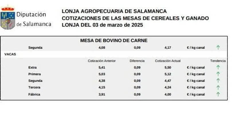 Mesa de bovino de carne 1 lonja 3 marzo 2025