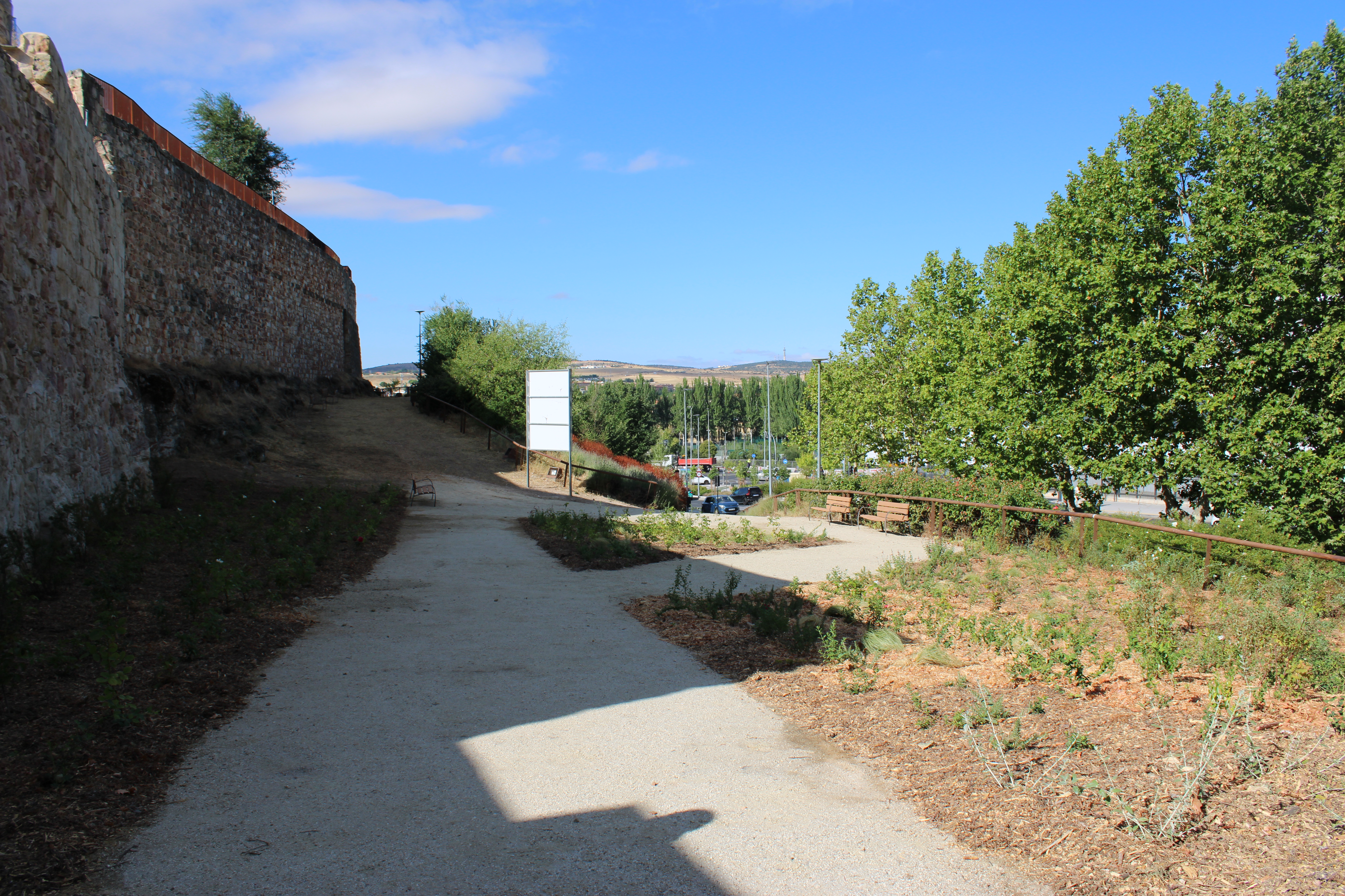 Cerro De San Vicente (5)