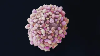 Célula del cáncer de mama.