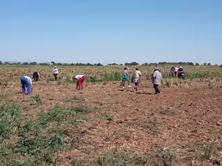 Temporeros agrarios. Foto EP