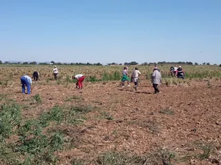 Temporeros agrarios. Foto EP