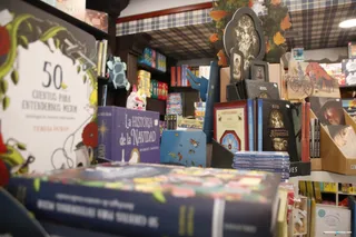 Libreria libros (8)