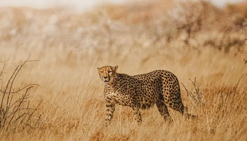 Namibia. Foto: Álvaro Valiente