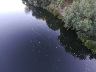 El PSOE denuncia que continúan los vertidos en forma de espuma al río Tormes