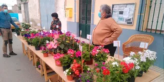 Villoruela organiza su tradicional mercadillo solidario de plantas