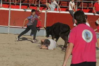 Fiestas de Santa Marta:toro del aguardiente