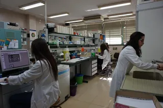 Investigacion (11)