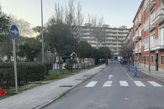 Árboles en la Avenida Carlos I, junto al parque de los Jardines de Peñaranda