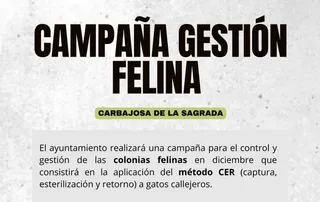 Campaña colonias felinas (1)