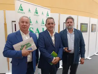 Donaciano Dujo, Juan Luis Delgado y José María Castilla. 