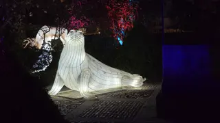 ‘La senda de los animales del Hielo’. Foto Andrea M.