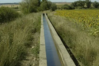 UCCL propone la implantación de un seguro agrario que cubra la sequía en regadío