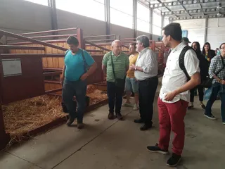 Feria de Mayo en Ciudad Rodrigo
