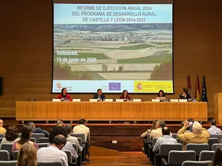 Comité de Seguimiento del Programa de Castilla y León