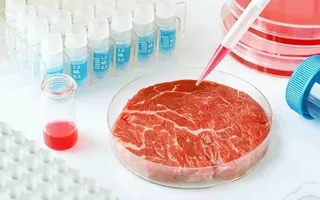 Carne