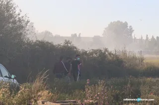 Incendios en la Isla del Soto y la carretera de Nuevo Naharros