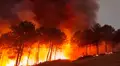 Incendio Pinofranqueado durante la noche del martes. Batallón T-15. 
