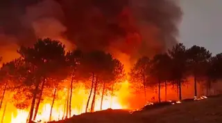Incendio Pinofranqueado durante la noche del martes. Batallón T-15. 