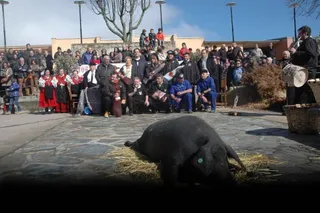 Matanza Típica de Guijuelo