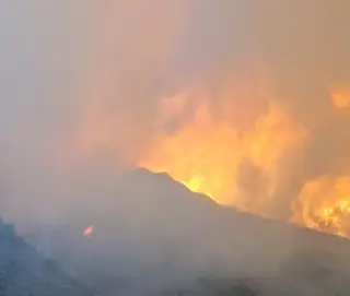 Incendio Pinofranqueado