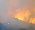 Incendio Pinofranqueado
