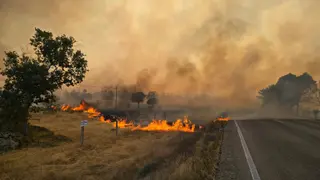 Incendio Cipérez. imagen Andrea Mateos (3).jpg