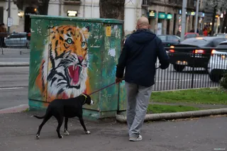 Dueños perro (20)