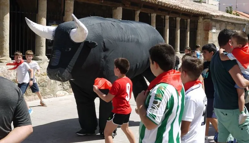 Toritos Fiestas San Roque Carbajosa (9)