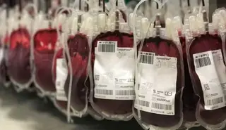 Imagen de bolsas de sangre tras donaciones de sangre y plasma | Consejería de Salud y Consumo