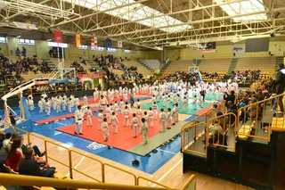 Judo NAV 2017 7960