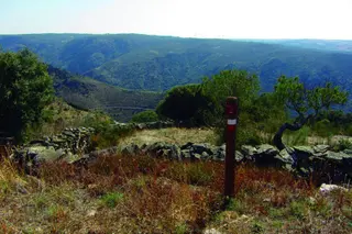 senda de bajada con las arribes al fondo
