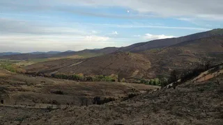El incendio de La Cabrera arrasó 9.964 hectáreas según la Junta