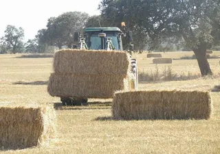 Agricultura y Ganadería recibe en Salamanca cerca de 9.700 solicitudes de la PAC