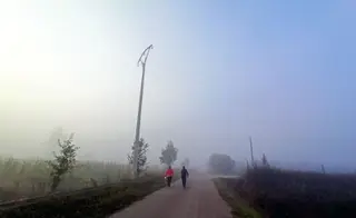 Día de niebla y frío Agencia ICAL (2)