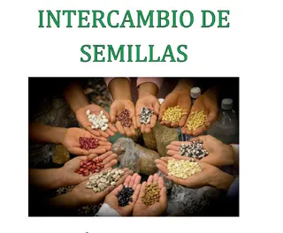 CARTEL 2019 Intercambio de Semillas