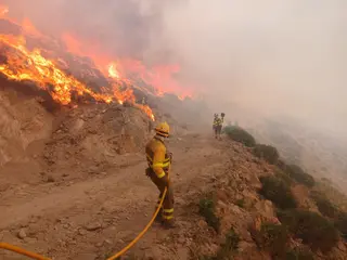 Brigadas forestales realizando un contrafuego en el incendio forestal de Burgohondo - Foto: ATBRIF