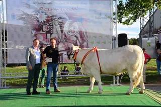 Entrega de premios a los campeones de Charoles, Limusín y Blonda de Aquitania