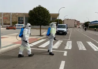 Desinfección villares de la reina