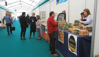 Feria Apícola Aldeatejada
