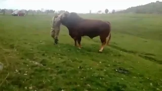Video1575197182