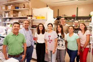 Científicos de la USAL desarrollan cepas del hongo A. gossypii mediante técnicas de ingeniería metabólica para la producción de biolípidos con fines industriales 2