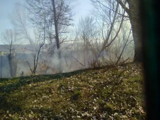 Incendio en Fresno Alhándiga 2