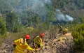 Incendio Pinofranqueado. INFOEX