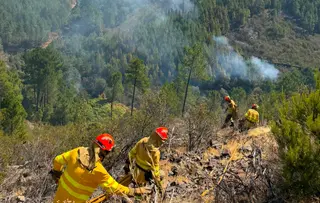 Incendio Pinofranqueado. INFOEX