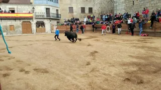 Toro del Aguardiante en San Felices de los Gallegos
